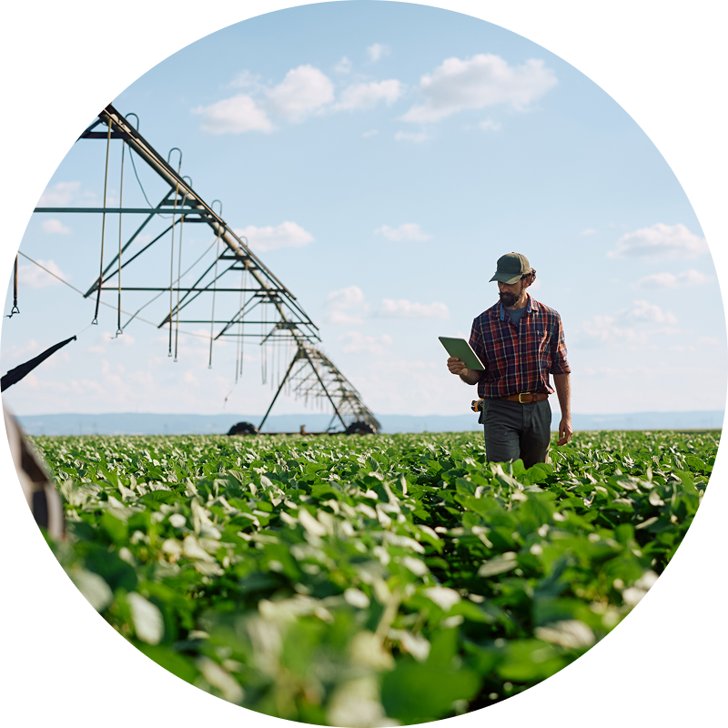 Farmer using tablet in crop field